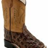 Kids * | Sale Online Old West Toddler Boys' Faux Horn Back Gator Print Western Boots Wide Square Toe